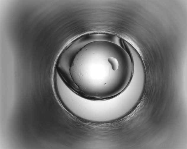 X0000096411093200801311347