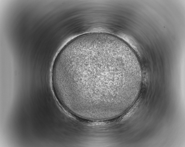 X0000096411094200801311347