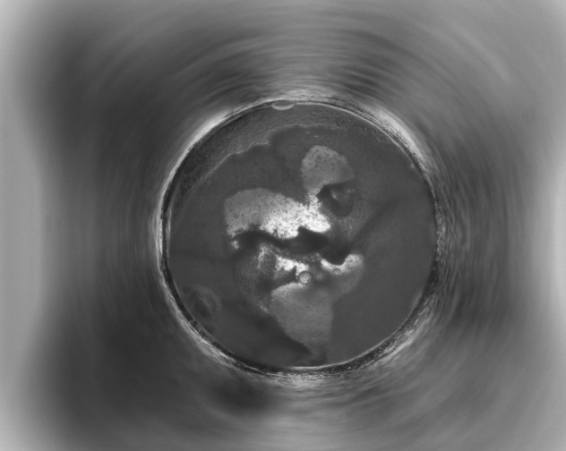X0000096411095200801311347