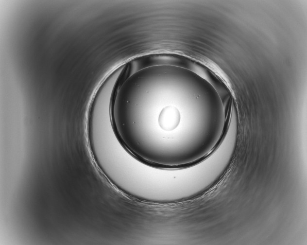 X0000096411096200801311347