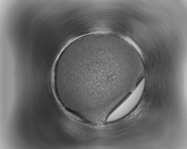 X0000096411099200801311347