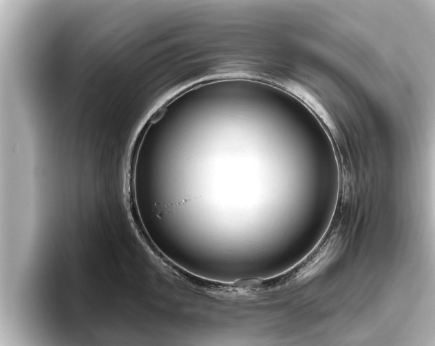 X0000096411101200801311347