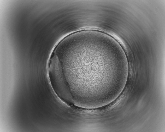 X0000096411102200801311347