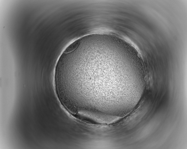 X0000096411103200801311347