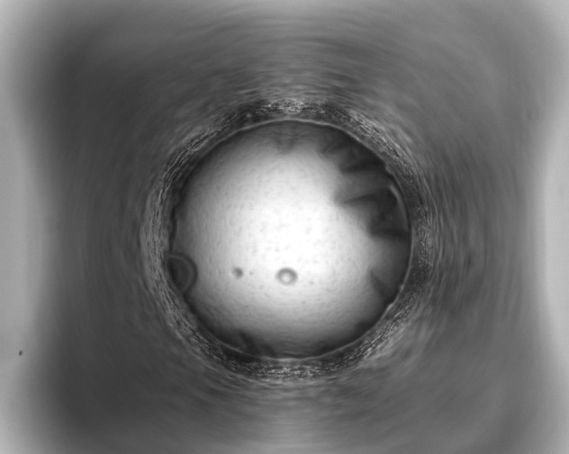 X0000096411105200801311347