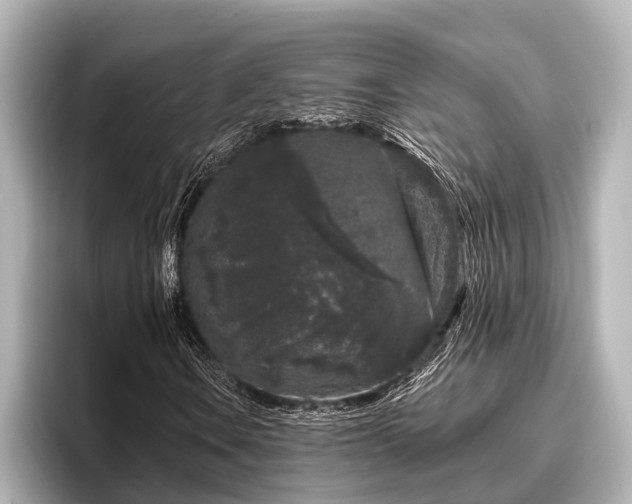 X0000096411106200801311347