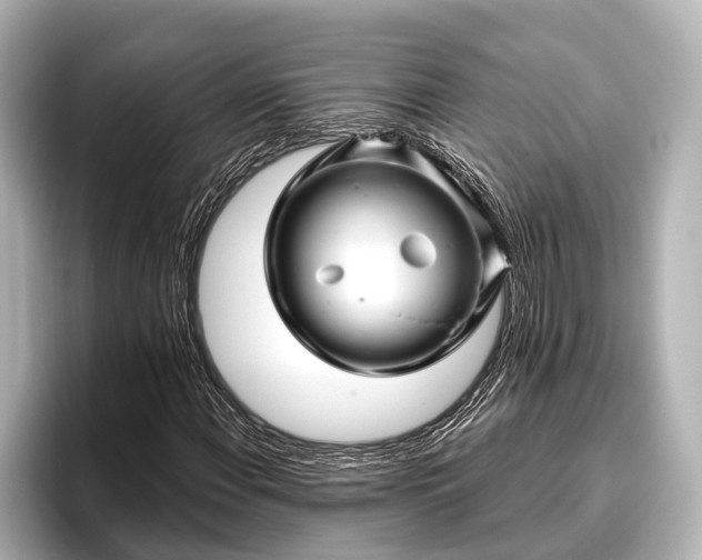 X0000096411108200801311347