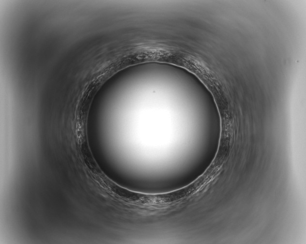 X0000096411109200801311347