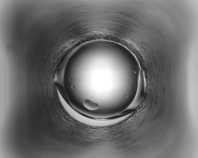 X0000096411110200801311347