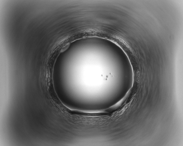 X0000096411111200801311347