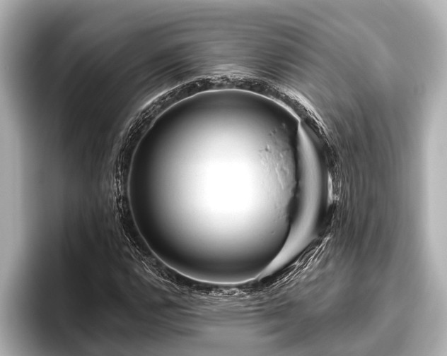 X0000096411112200801311347