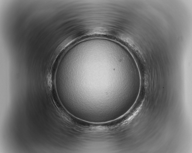 X0000096411113200801311347