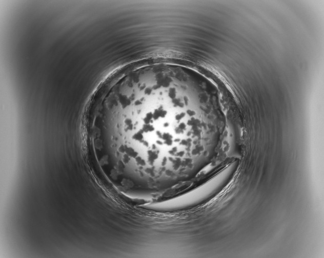 X0000096411115200801311347