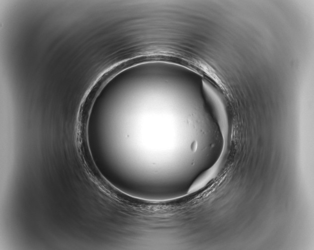X0000096411116200801311347