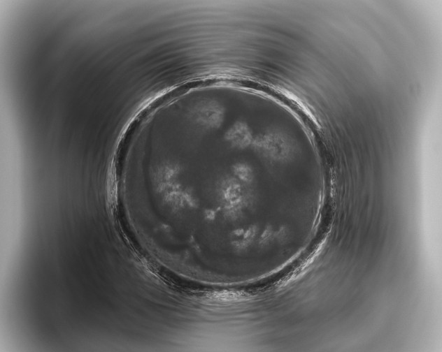 X0000096411117200801311347