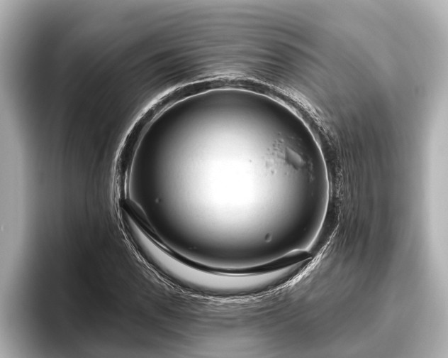 X0000096411118200801311347
