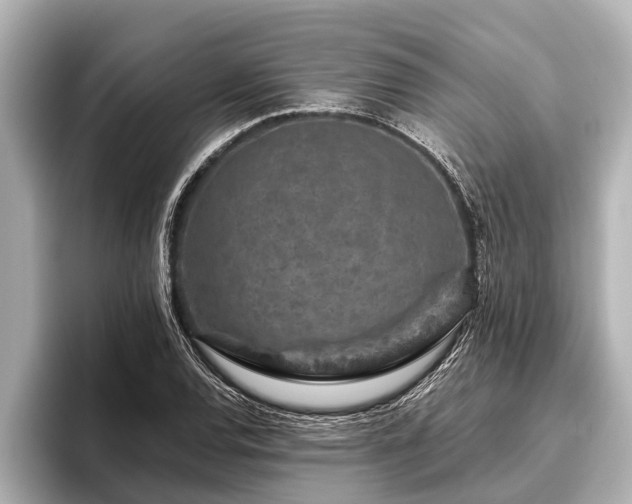 X0000096411120200801311347