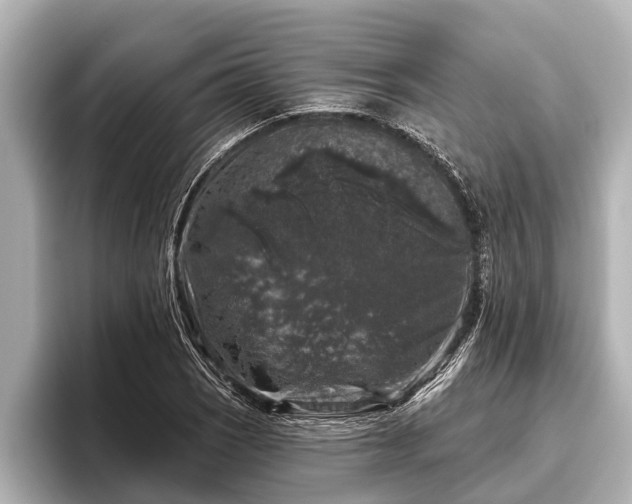 X0000096411121200801311347
