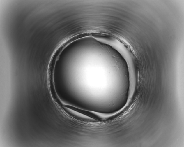 X0000096411122200801311347