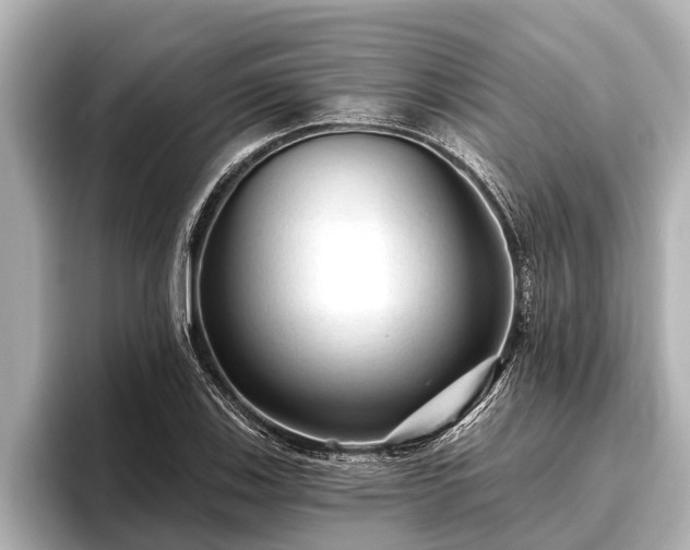X0000096411123200801311347