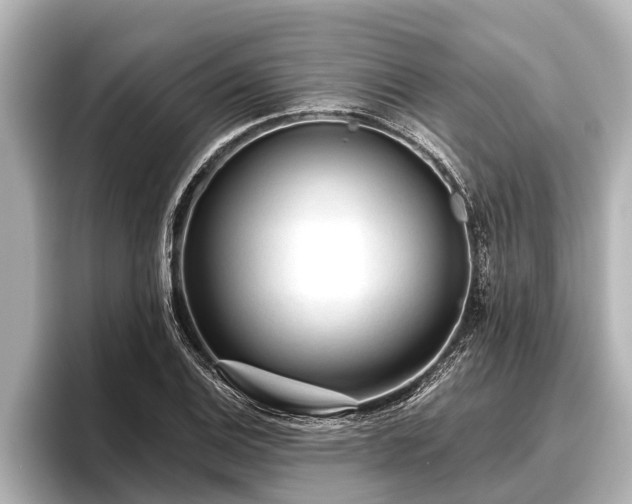 X0000096411124200801311347