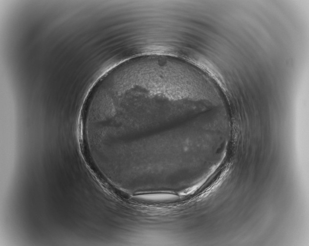X0000096411125200801311347