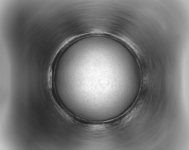 X0000096411126200801311347