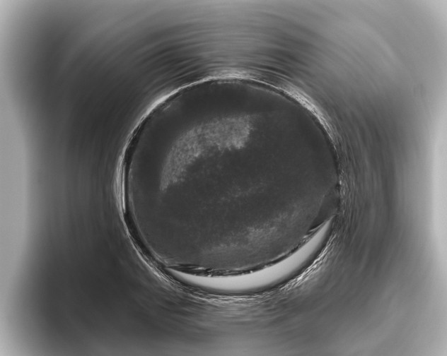 X0000096411127200801311347