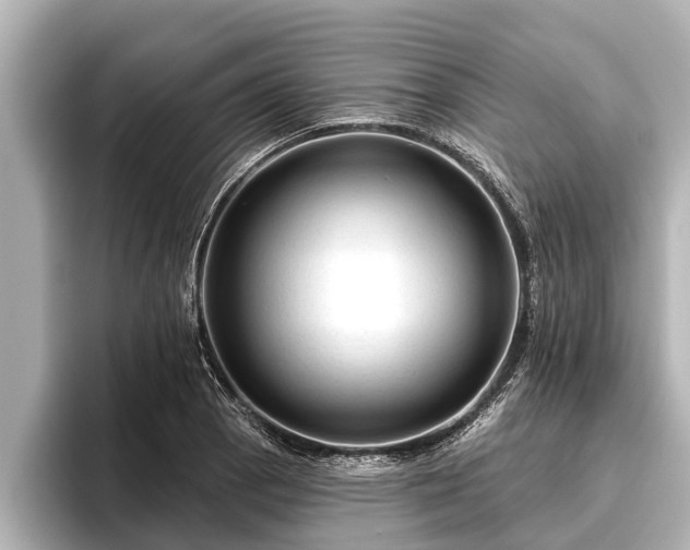 X0000096411129200801311347
