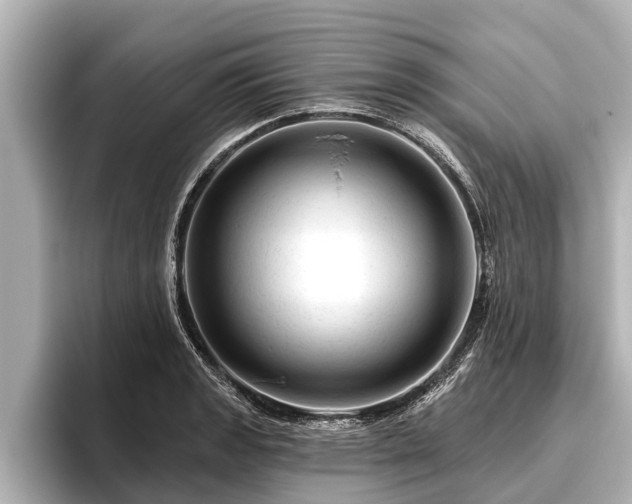 X0000096411133200801311347