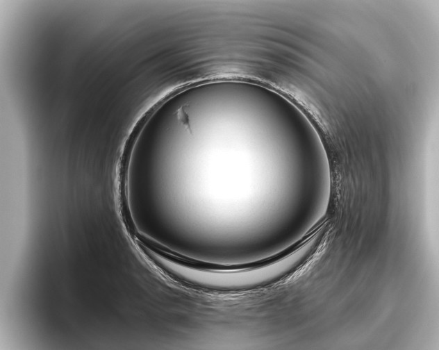 X0000096411134200801311347