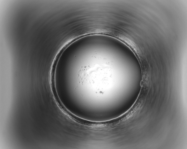 X0000096411135200801311347