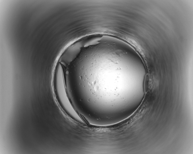 X0000096411136200801311347