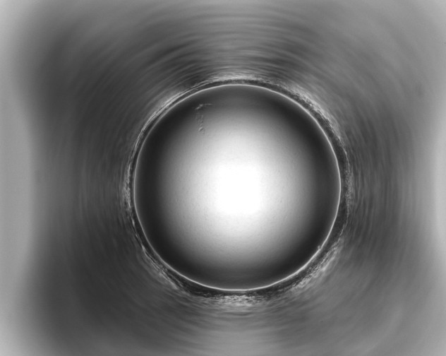 X0000096411137200801311347