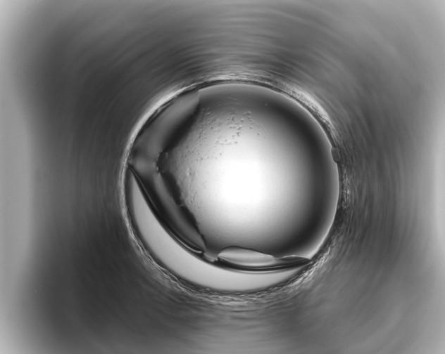 X0000096411138200801311347