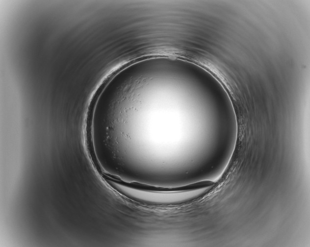 X0000096411139200801311347