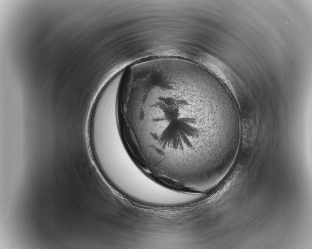 X0000096411141200801311347