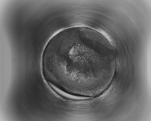 X0000096411142200801311347