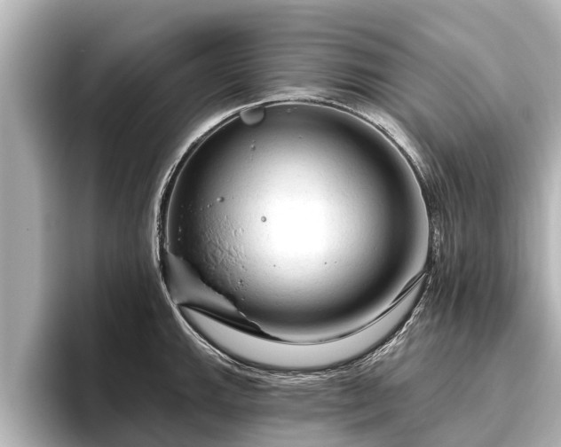 X0000096411143200801311347
