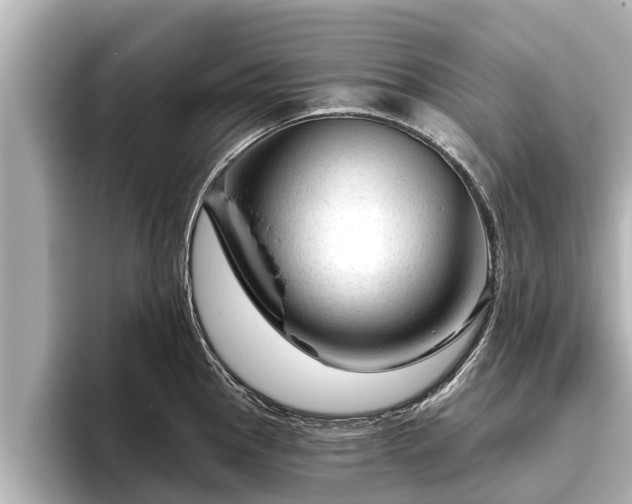 X0000096411145200801311347