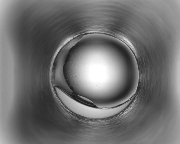 X0000096411146200801311347