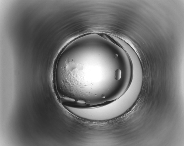 X0000096411147200801311347