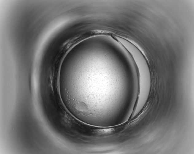 X0000096411151200801311347