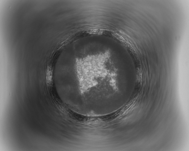 X0000096411154200801311346