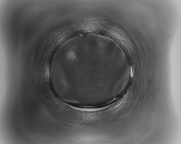 X0000096411155200801311346