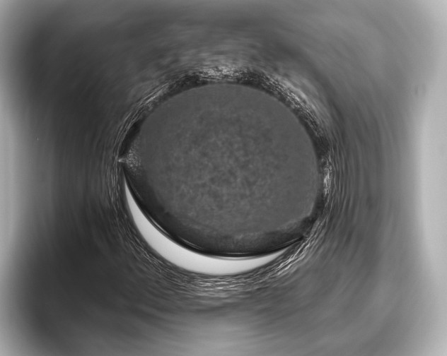 X0000096411156200801311346