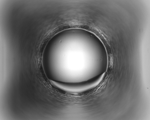 X0000096411157200801311346