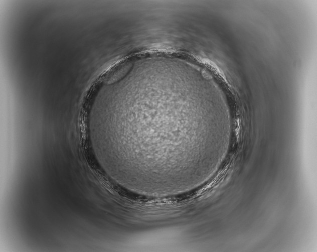 X0000096411159200801311346