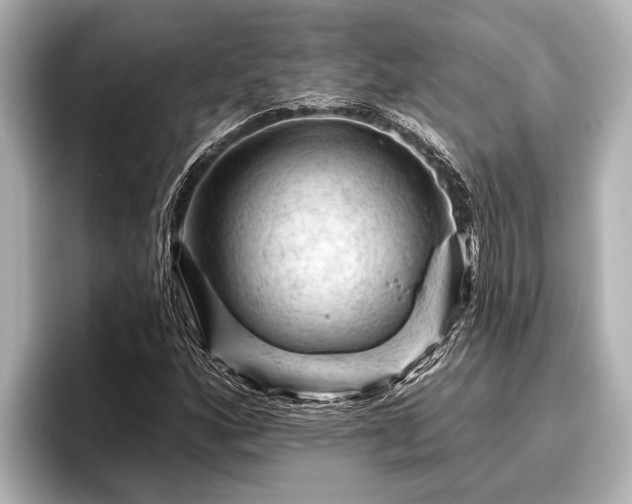 X0000096411160200801311346