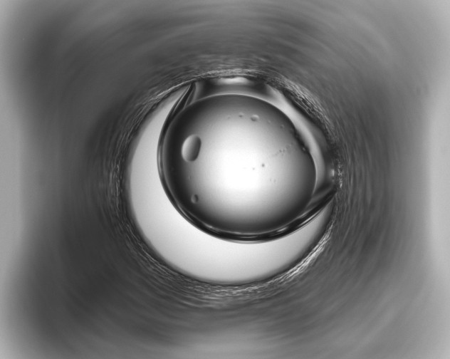 X0000096411161200801311346